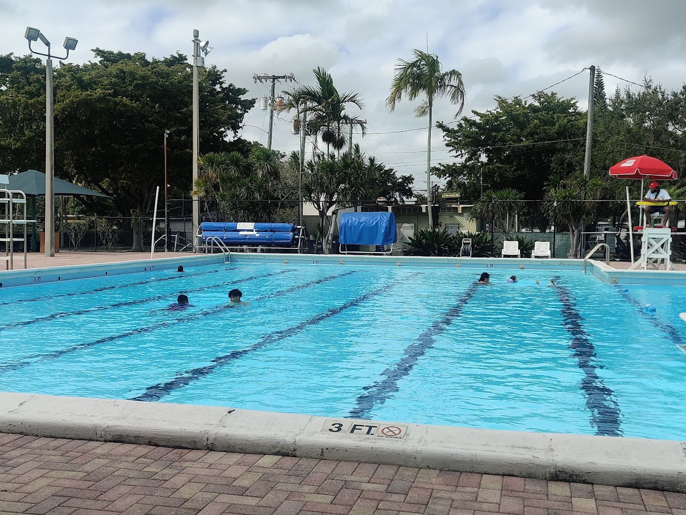 Thomas Sasso Pool - Miami